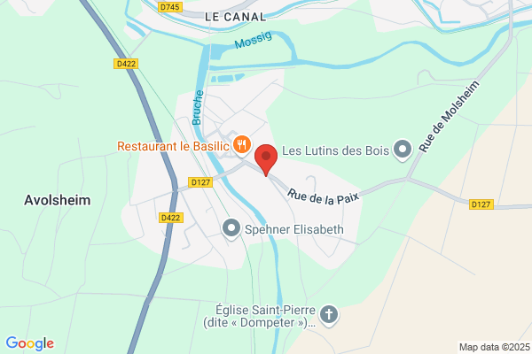 CHEZ MAIDI