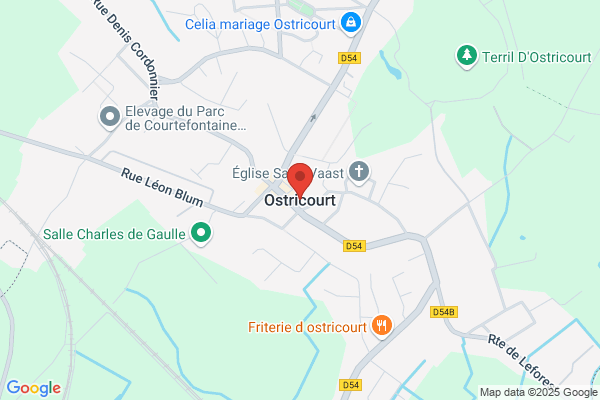 A L Ecole De Conduite Francaise