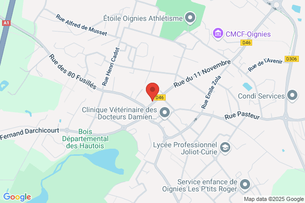 Bouchard Jean Medecin