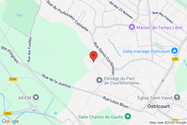 Cereplus Direction Des Services Techniques