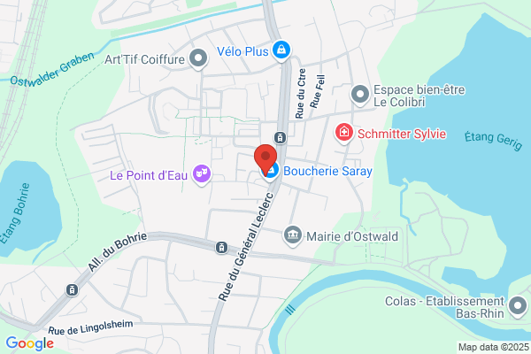 Boeuf Solt Christine