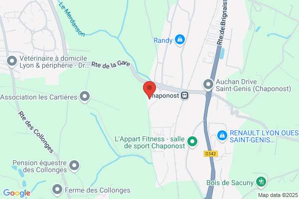 Comite Departemental Du Rhone De Tennis