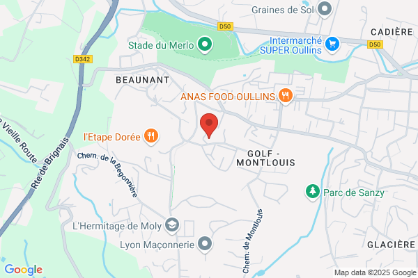 Taxi Lyon Sud