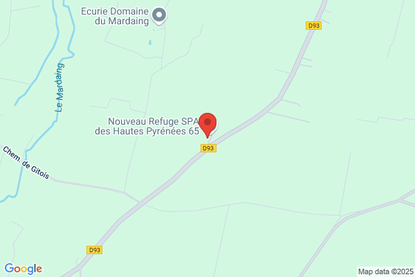 Ecole Du Chat De Pyrenees Bigorre