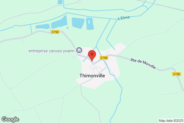 Association des chats minipattes