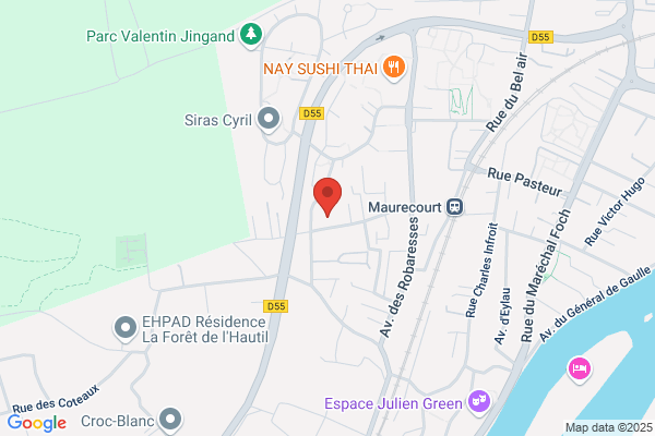 Aureas Informatique