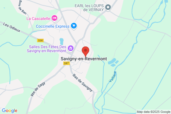 AYMON DE SAVIGNY