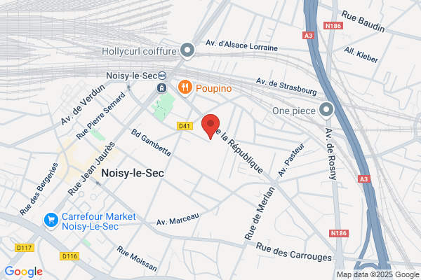 Developpement Ing Et Serv Dis