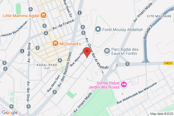Association Francaise De La Friedrich Ebert Stiftung
