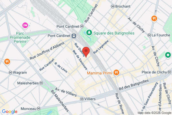 Institut International Du Manganese