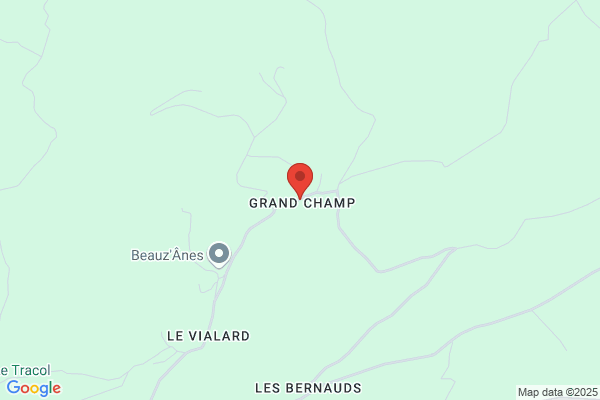Civet Gerard