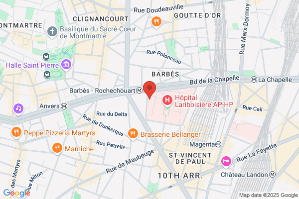 Ivs Institut Des Vaisseaux Et Du Sang