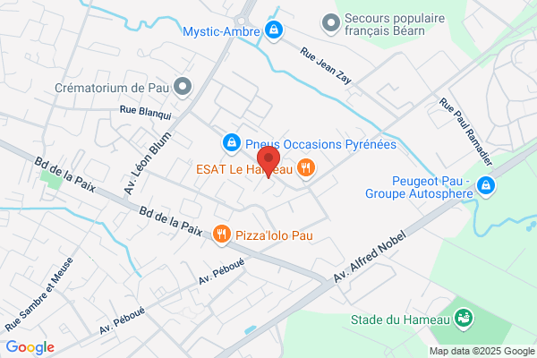 Cat Jean Geneze Pep Pupilles De L enseignement Public