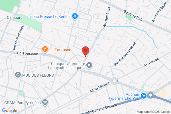 Arraou Philippe