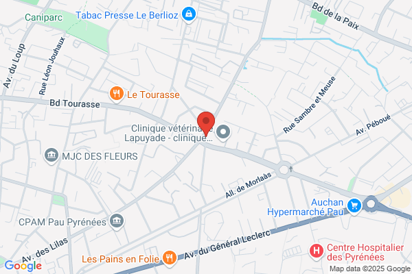 Cafe Des Lilas