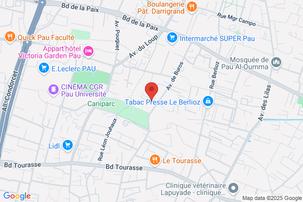 In Paac Institut Pratique Auto Instruction Audiov cybernetique