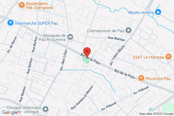 Institut Les Bruyeres