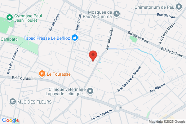 Adapei Comite D Entreprise