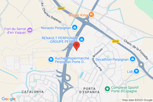 Conseil General Des Pyrenees Orientales Mission Rmi insertion