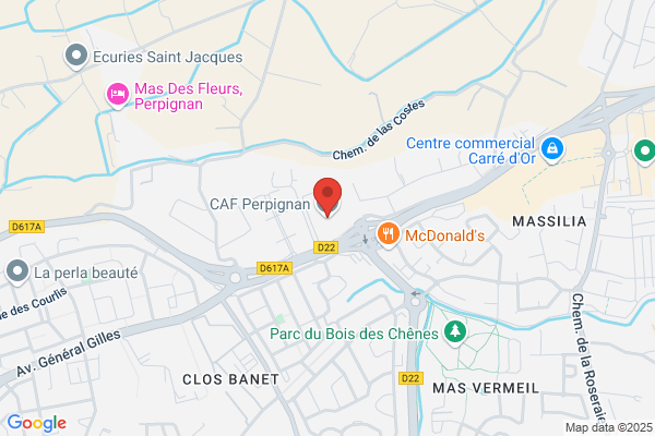 Caf Caisse D Allocations Familiales Siege