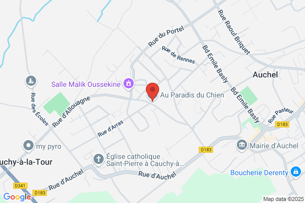 Au Paradis Du Chien
