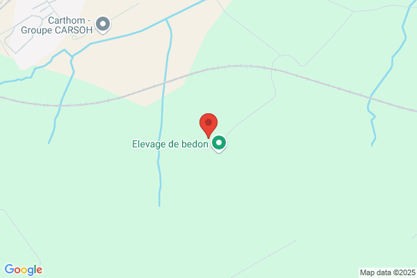 Bedon Patrice