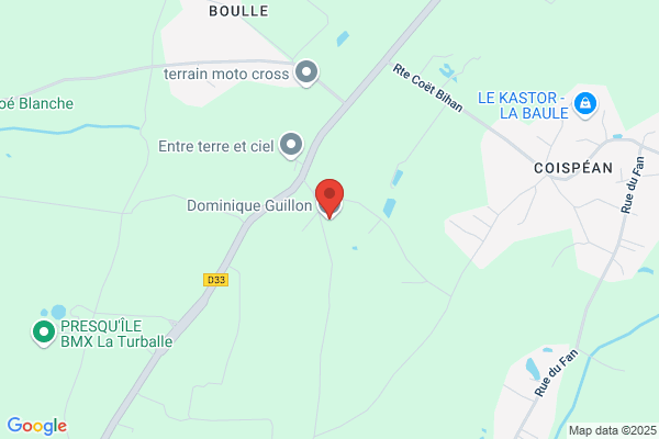 Guillon Dominique