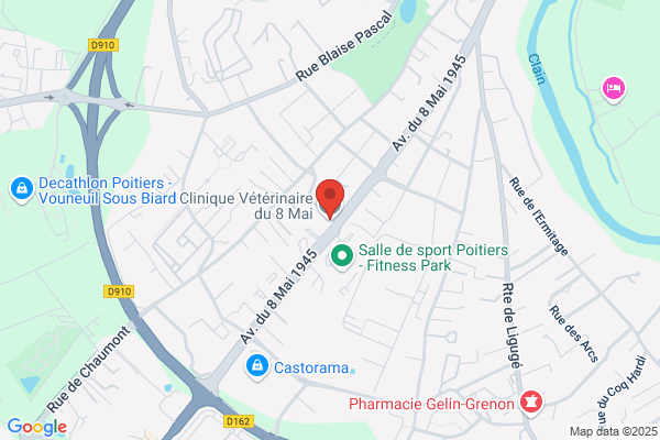Clinique Veterinaire Toulat Bergue Meyer