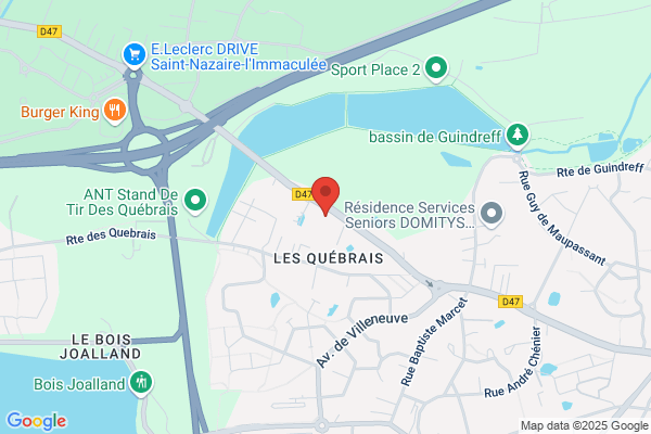 Abattage Jardins Elagage Interieurs Parcs Ajeip
