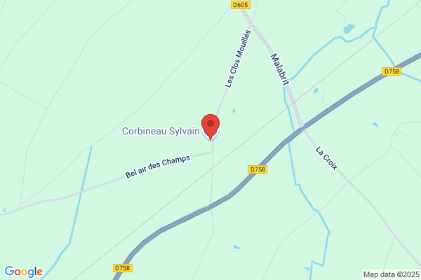 Corbineau Regis