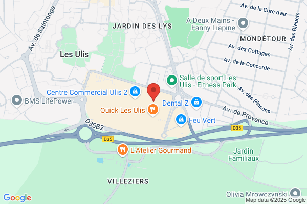 Histoire d'Or