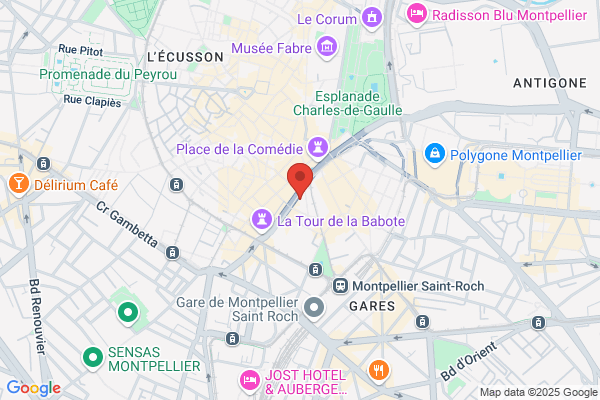 Hotel Le France