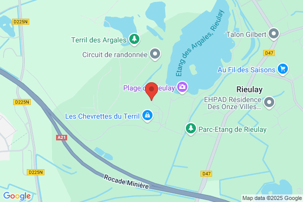 Club De L Epagneul Francais