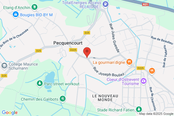 Club Du Chat 3000