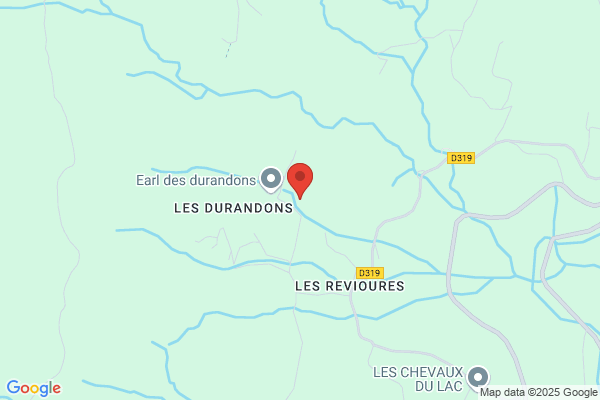 DU SOUVENIR DES DICKS