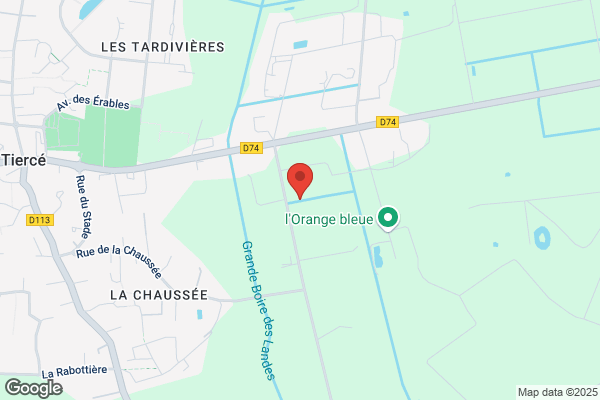 Amicale Laique Ecole De Musique
