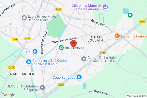 Cat Les Bejonnieres