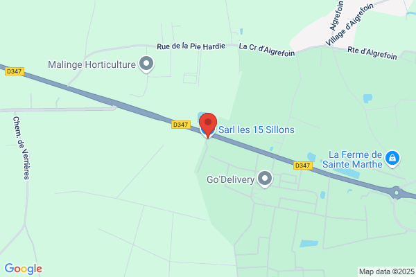 Chataignier Louis