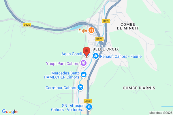 Au Corail Poisson Reptile