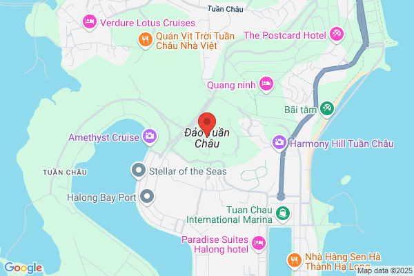 Dao Tuan Elisa