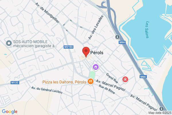 Agence Sud Immobilier