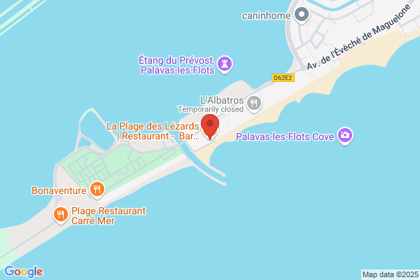 La plage des lezards