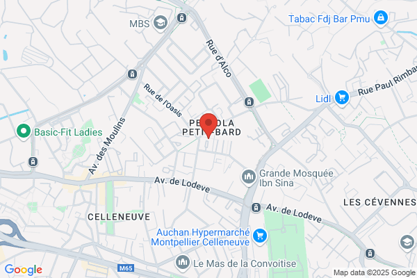 Cabinet De Reeducation Saidani Pellet Scm