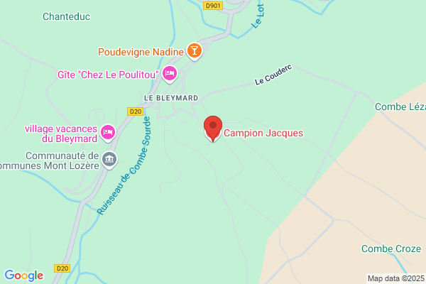 Campion Jacques