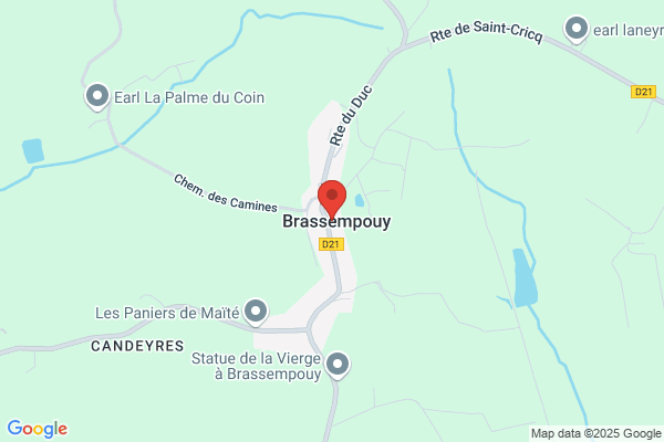 A La Venus De Brassempouy
