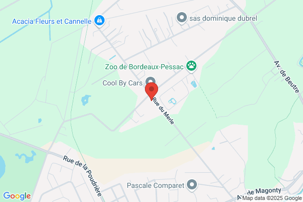 Dubraud Francette Taxi
