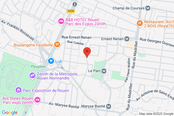 College Maximilien De Robespierre