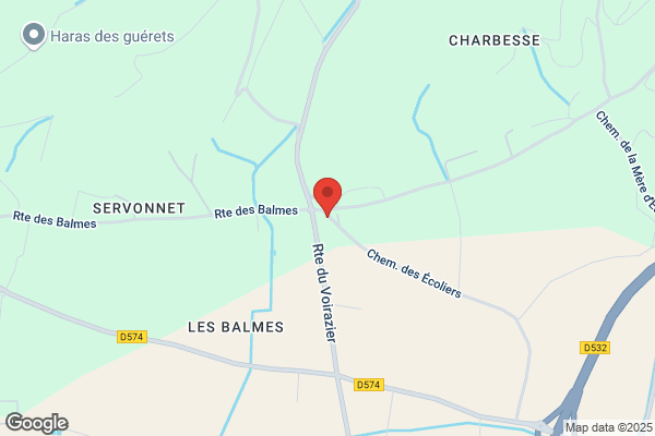 Ecoles Primaires Balmes