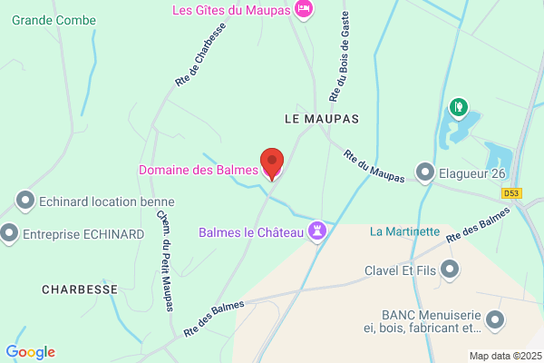 Hotel Des Balmes