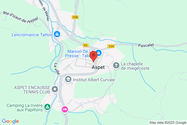 Amenagement Arbres Traitement Travaux Acrobatiques Services Aa